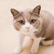 用户74045798783的个人资料头像