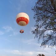 快乐种田0616的个人资料头像