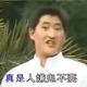 老实本分豆腐佬头像