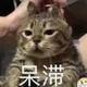喜欢吼头像