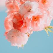 晚上九点的个人资料头像