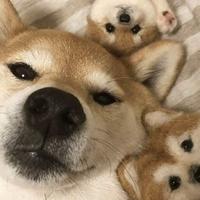 卖二手车的小冯头像