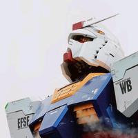 青睐头像