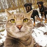 AAAAA断肠人在刷牙的个人资料头像