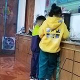 薰衣草81158833头像