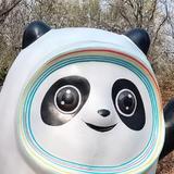 兴福57130226头像