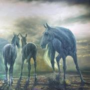 wanghx0991的个人资料头像