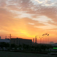 空心菜不谈爱头像