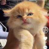 用户9336631306511头像