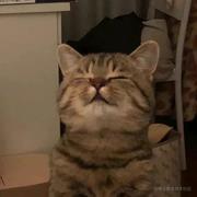 crazy_的个人资料头像