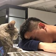 三十三两白银的个人资料头像