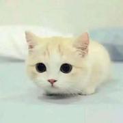 qaiu的个人资料头像