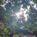 阿沐达探车日记头像