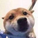 我就是我不一样的烟火的个人资料头像