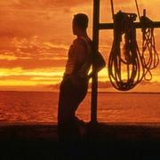 太阳星辰155的个人资料头像