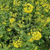 用户434442555435头像