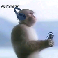 爱吃草的小水牛头像