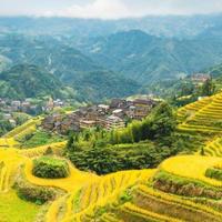 缤纷五色明镜非台头像