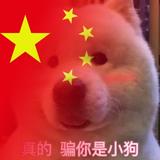 逆风向海298头像