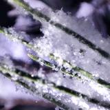 测试00023头像