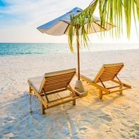 用户4592412172165头像