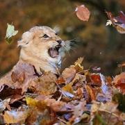 任雨杰的个人资料头像