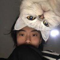 小刘ykk头像