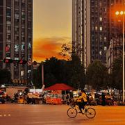 没秃头的农民工的个人资料头像