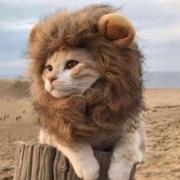 浮生忆前尘的个人资料头像