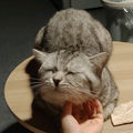 柏高车行头像