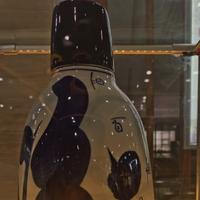 三哥与狼共舞头像