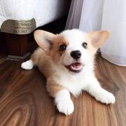 張々ice的个人资料头像