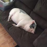 罔顾之的个人资料头像