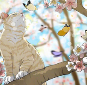 carryMe上王者的个人资料头像