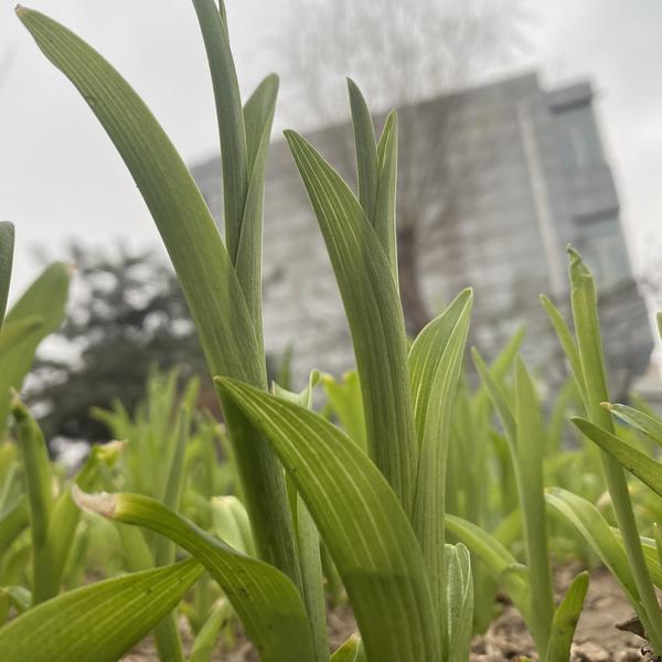 医药前线头像