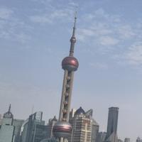 非凡苹果Ht头像