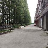 笑看明天6782头像