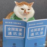 愿飞飞头像