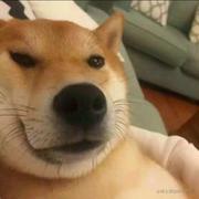 Prier的个人资料头像