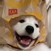 用户5745370994361的个人资料头像