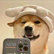 菠萝王子的个人资料头像