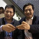 铁血呱呱头像