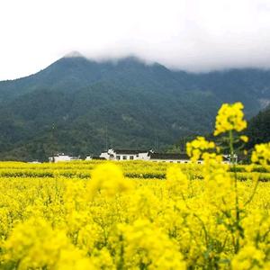 饭后影视头像