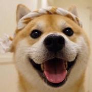 优秀的李李的个人资料头像