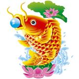鱼兄南充汽车人头像