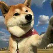 用户9263813946728的个人资料头像