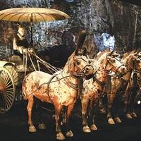 天地任逍遥大道我独行我自求我道头像