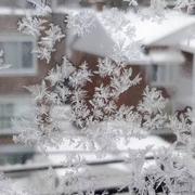 大松树139的个人资料头像