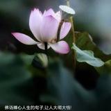 珍惜彼此1255头像