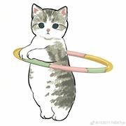 焦糖口味的个人资料头像